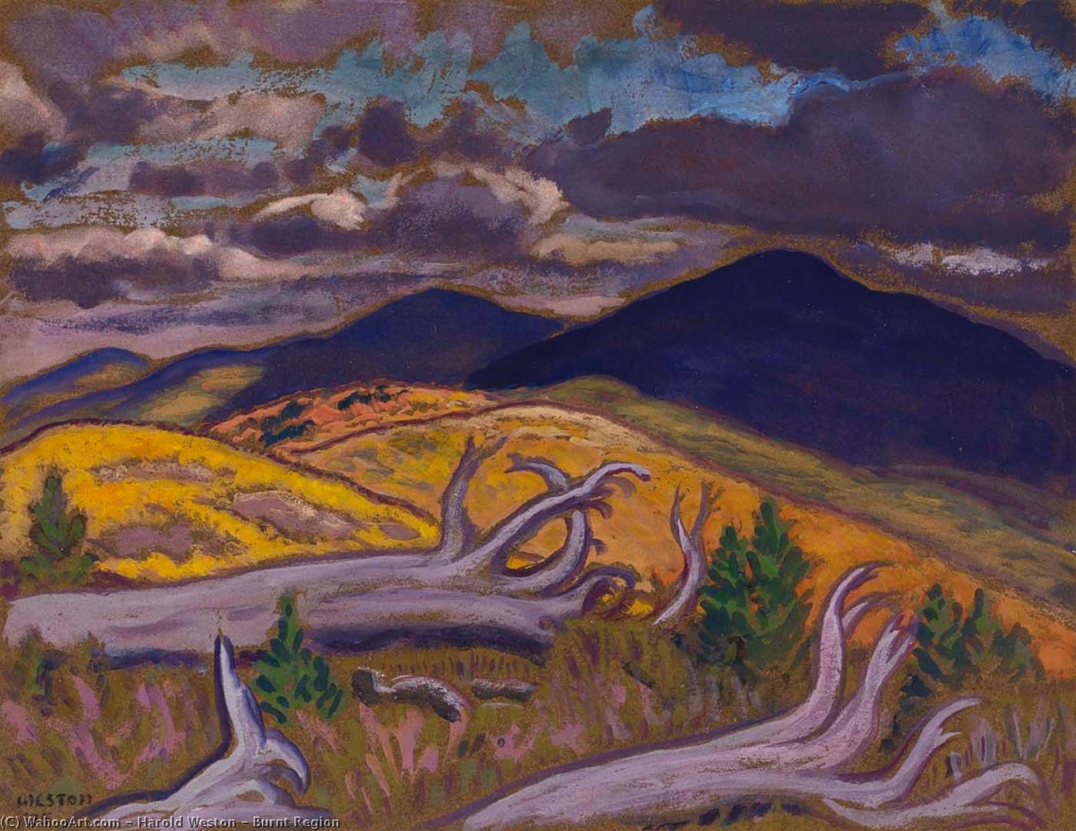 Order Art Reproductions Burnt Region, 1935 by Harold Weston (Inspired By) (1894-1972) | ArtsDot.com