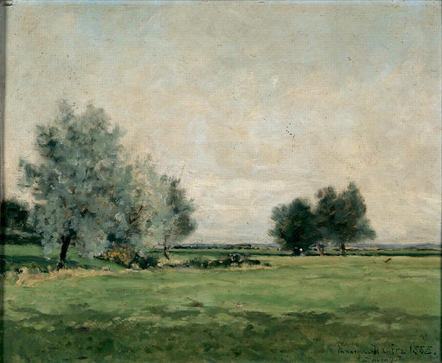 Order Art Reproductions La prairie by Maxime Emile Louis Maufra (1861-1918) | ArtsDot.com