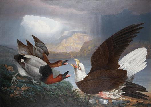 Order Art Reproductions Death of a Warrior White Headed Eagle, Canvas Back Duck Young (The Death of a Tyrant), (painting), 1871 by Robert Jr Havell (1793-1878) | ArtsDot.com