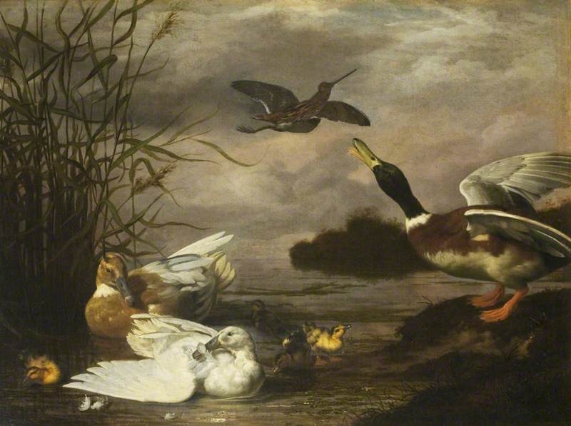 Buy Museum Art Reproductions Duck and a Woodcock near Reeds, a Mere beyond by Johannes Spruyt (1628-1671) | ArtsDot.com