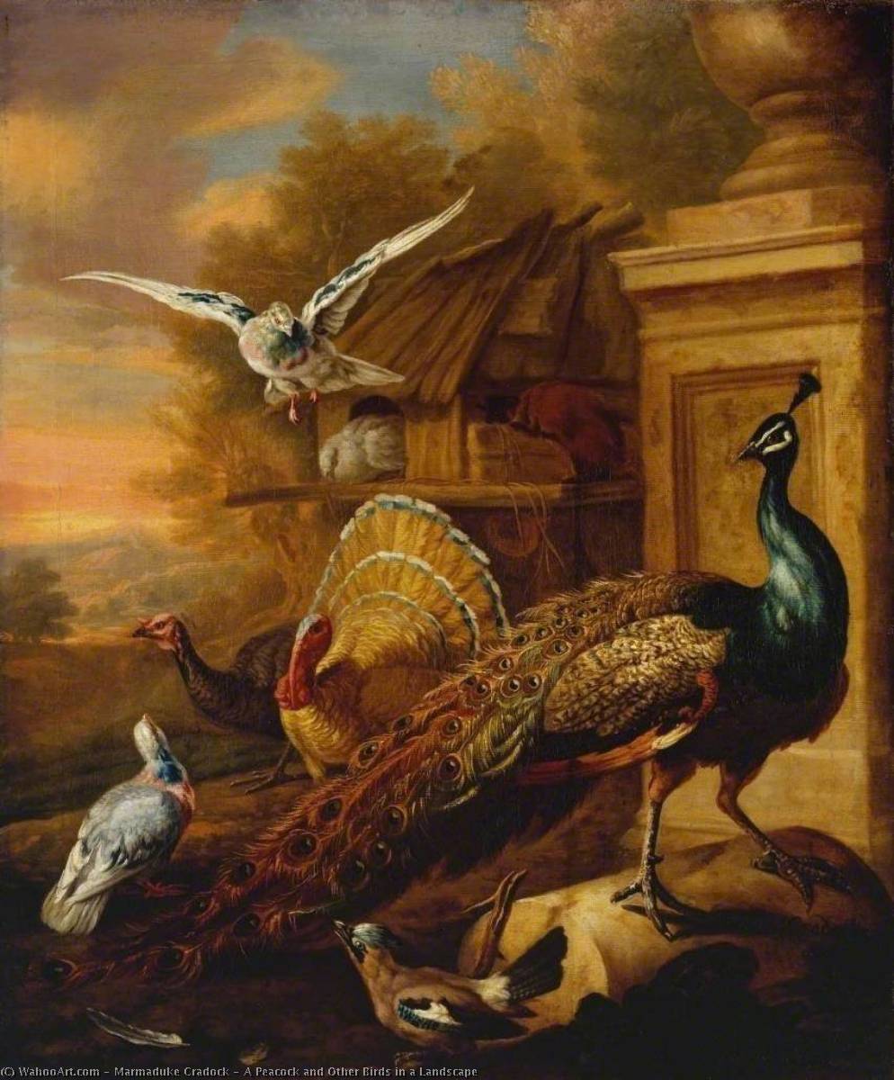 A Peacock and Other Birds in a Landscape, 1700 by Marmaduke Cradock Marmaduke Cradock | ArtsDot.com