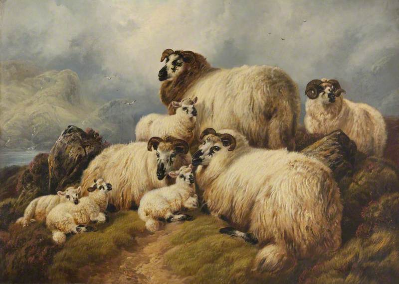 Sheep, 1884 by Charles John Watson Charles John Watson | ArtsDot.com
