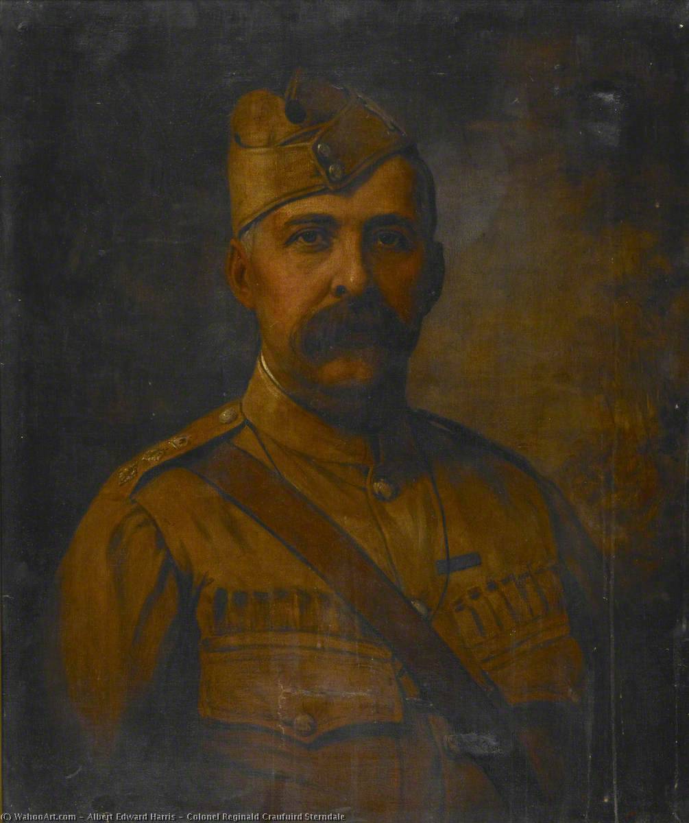 Colonel Reginald Craufuird Sterndale, 1913 by Albert Edward Harris Albert Edward Harris | ArtsDot.com