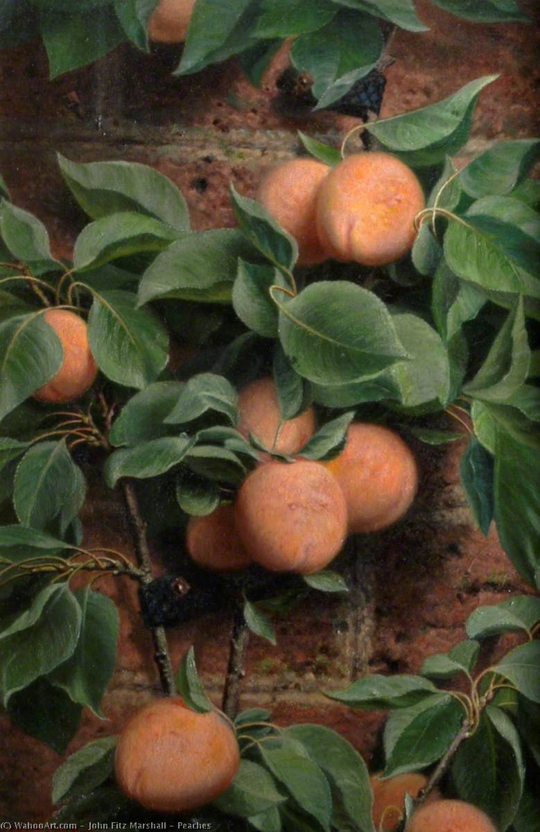 Peaches by John Fitz Marshall John Fitz Marshall | ArtsDot.com