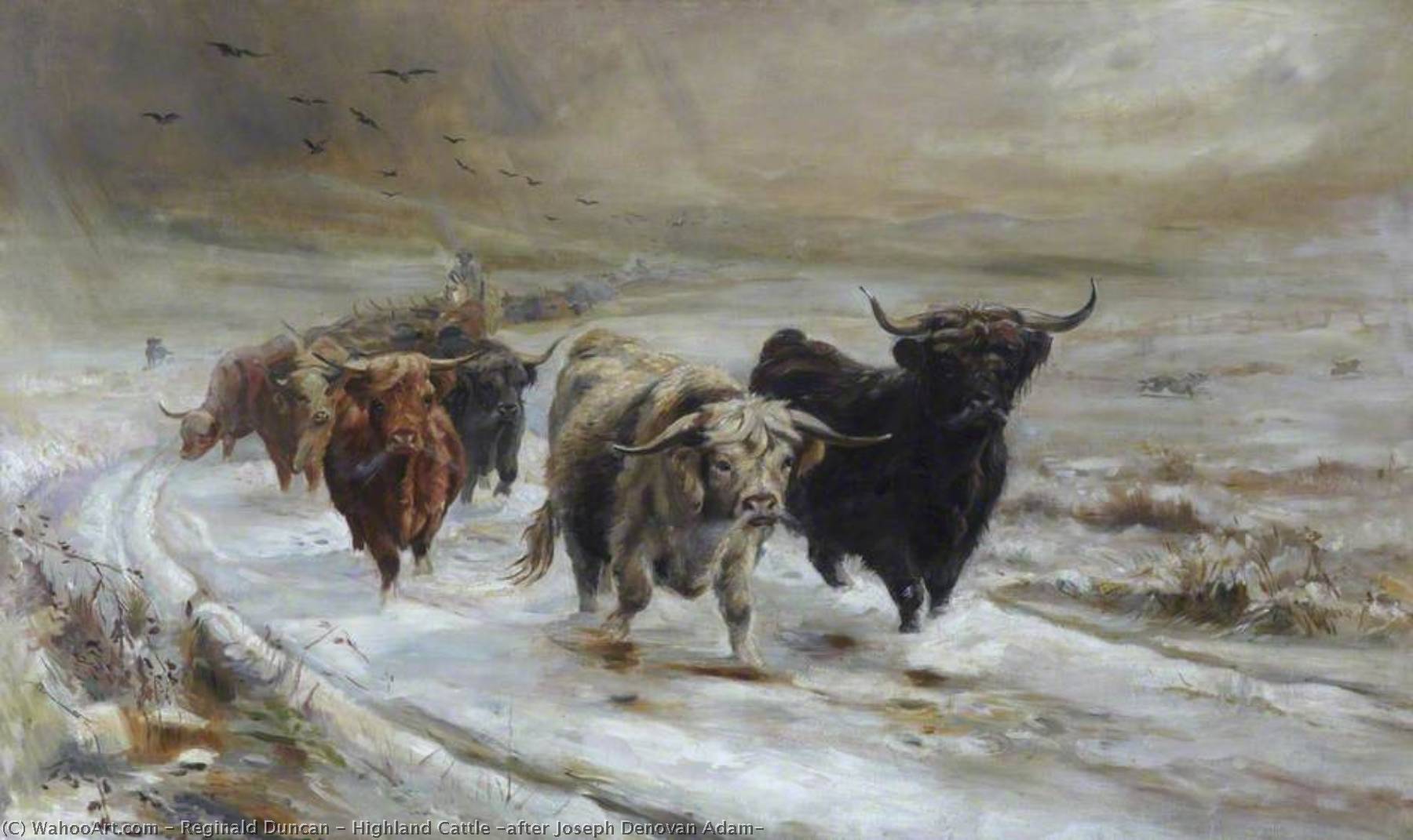 Highland Cattle (after Joseph Denovan Adam), 1901 by Reginald Duncan Reginald Duncan | ArtsDot.com
