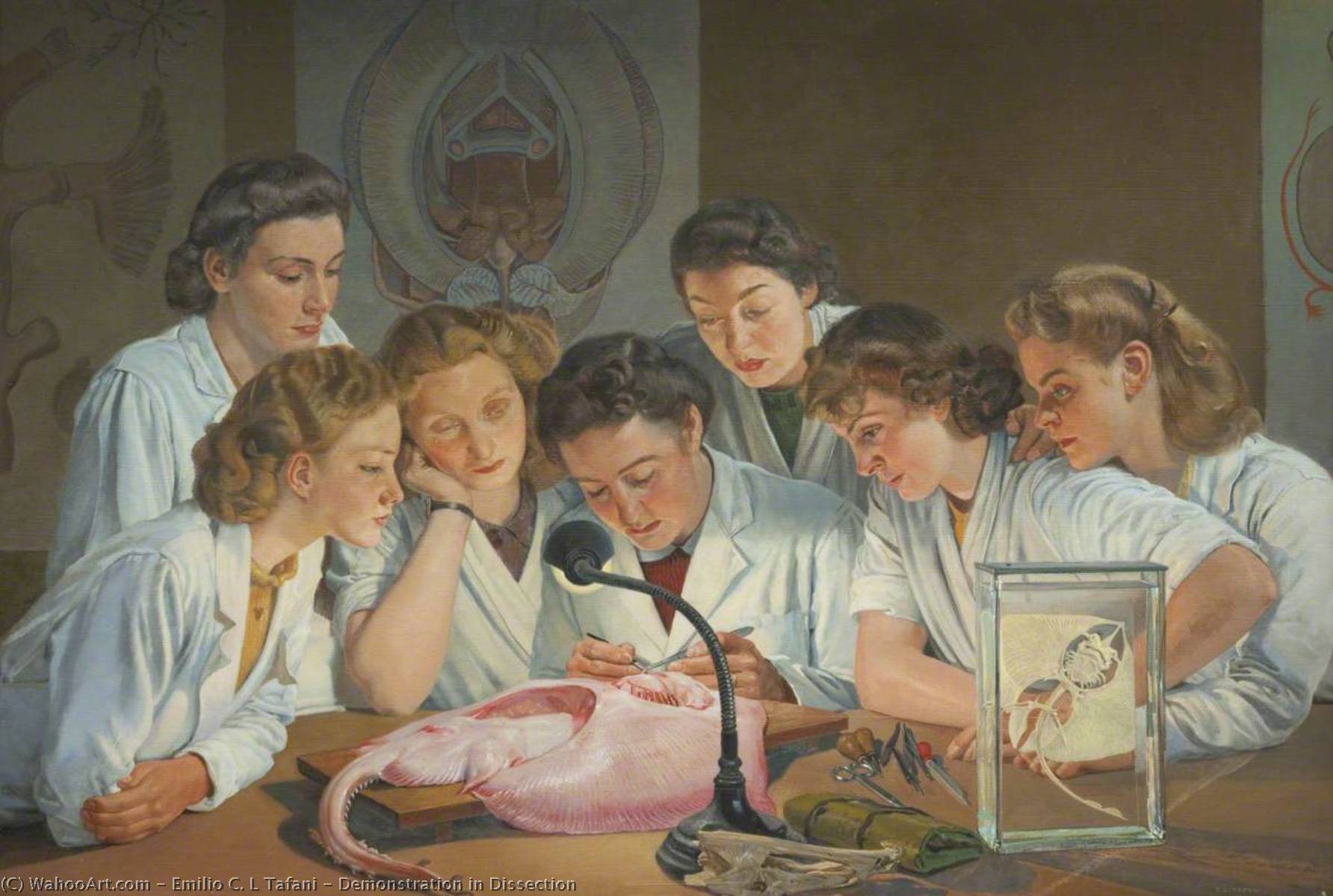 Demonstration in Dissection, 1945 by Emilio C. L Tafani Emilio C. L Tafani | ArtsDot.com