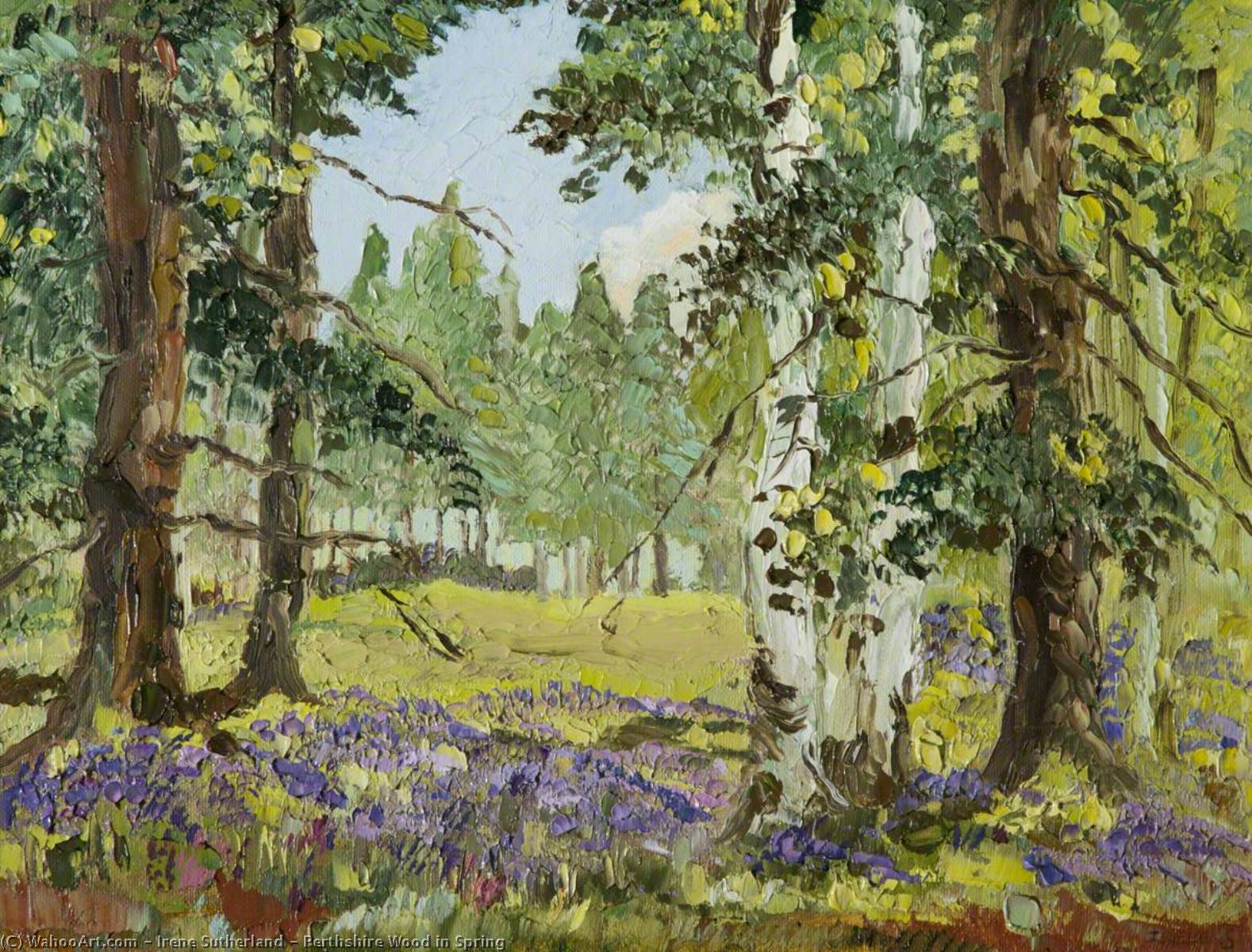 Perthshire Wood in Spring by Irene Sutherland Irene Sutherland | ArtsDot.com