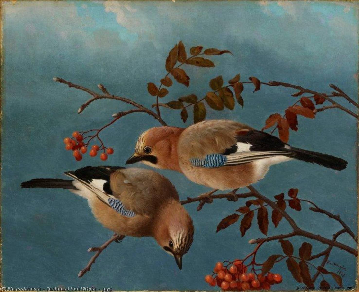 Jays, 1877 by Ferdinand Von Wright Ferdinand Von Wright | ArtsDot.com
